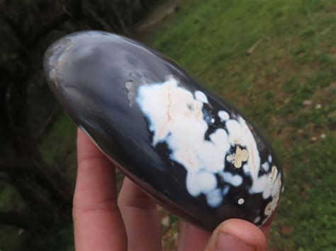 Orca Agate: The Gemstone with a Captivating History and Versatile Applications