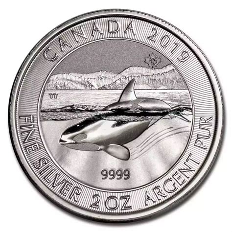 Orca on a Coin: A Symbol of Beauty, Power, and Intelligence