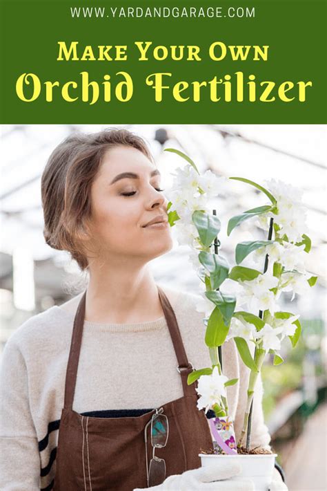 Orchid Fertilizer DIY: 10,000+ Tips for Creating the Perfect Nutrient Mix