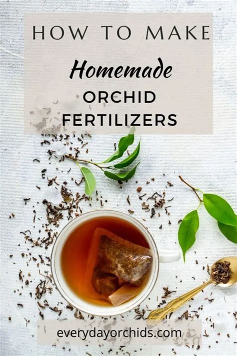 Orchid Fertilizer Homemade 101: Unlock Your Orchids' Hidden Potential