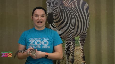 Oregon Zoo Volunteer: The Ultimate Guide to Giving Back to Animals and Nature