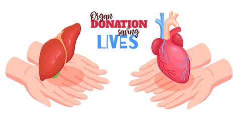 Organ Donation Singapore: Saving Lives, One Organ at a Time