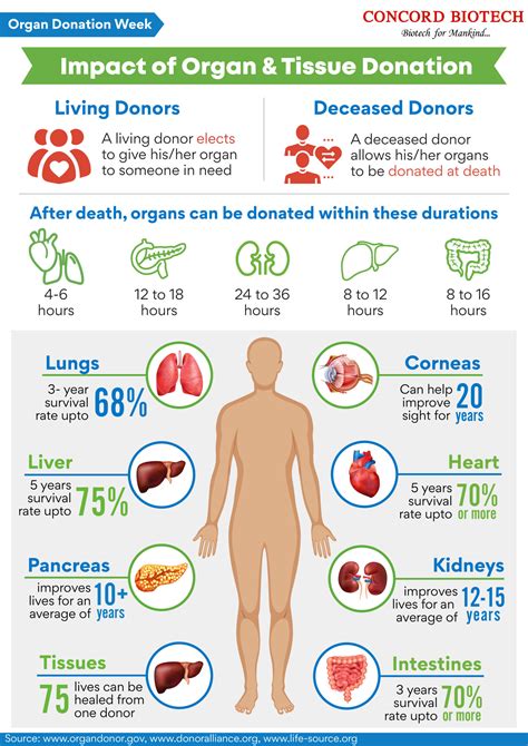 Organ Donation in Singapore: A Comprehensive Guide and Impact Analysis