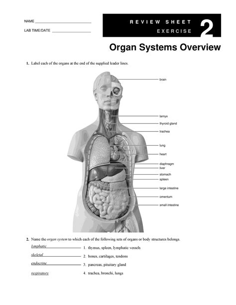 Organ Systems Overview Exercise 2 Answers Reader