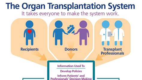 Organ Transplantation: