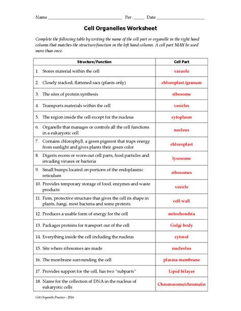 Organelle Worksheet Answers Epub