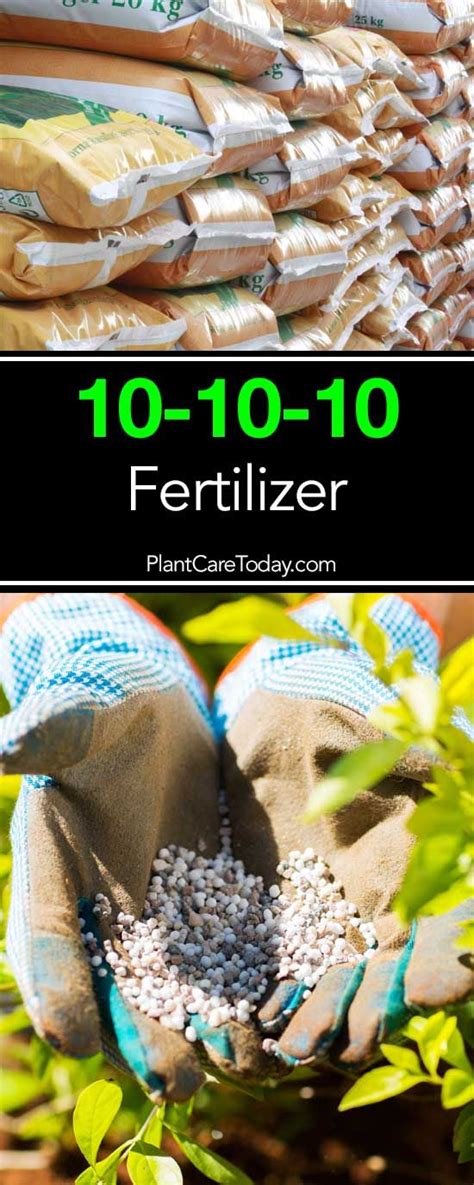 Organic 10-10-10 Fertilizer: The 10-Step Guide to a Thriving Garden