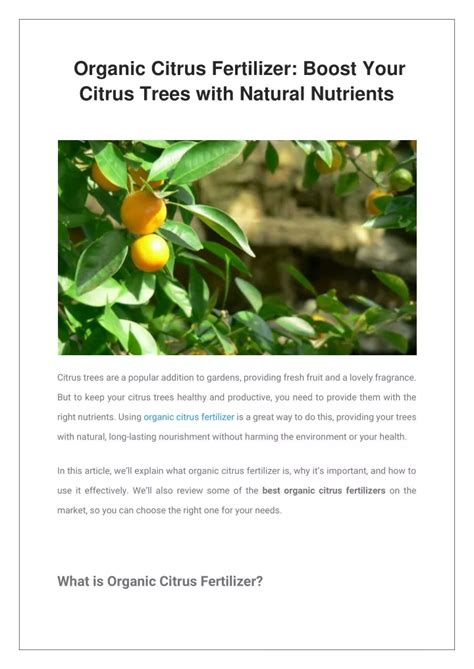 Organic Citrus Fertilizer: Your Nutrient-Packed Solution