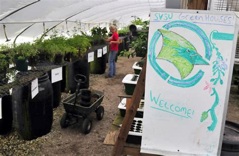 Organic Compost Machine: A Comprehensive Guide