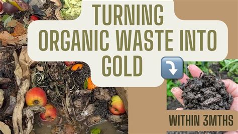 Organic Compost Machine: Transform Your Waste into Garden Gold