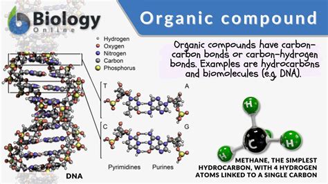 Organic Compounds Kindle Editon