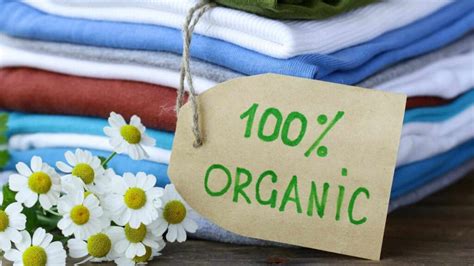 Organic Cotton Shirts: A Sustainable Choice for a Healthier Planet