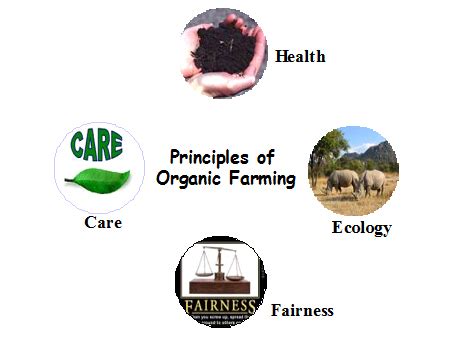 Organic Farming Principles PDF