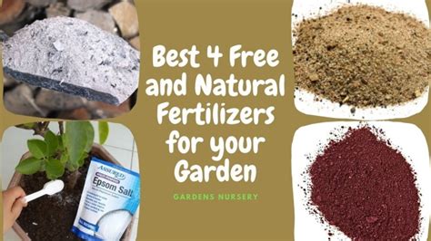 Organic Fertilizer Pellets: The Green Revolution for Your Garden