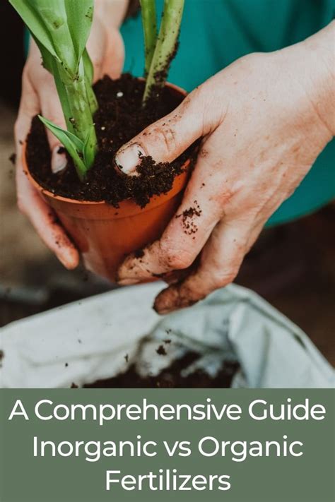 Organic Fertilizer Plant 101: A Comprehensive Guide