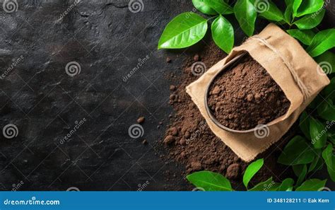 Organic Fertilizer Plant 101: Unlocking Sustainable Soil Health