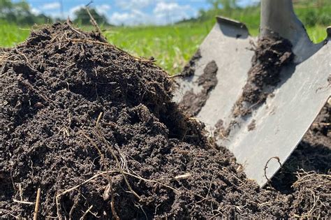 Organic Fertilizer Potassium: The 3-Key Guide to Boost Your Soil Health