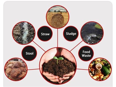 Organic Fertilizer Production Line: A Complete Guide to Turn Waste into Wealth