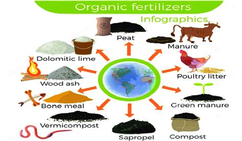 Organic Fertilizer Production Line: A Comprehensive Guide to Eco-Friendly Nutrient Management