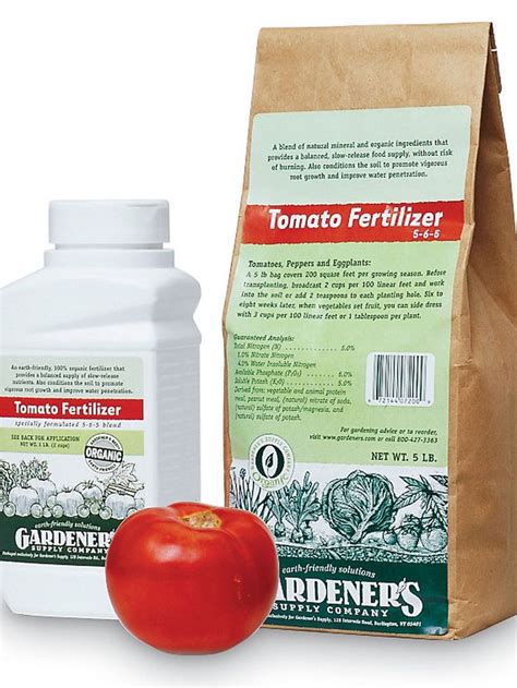 Organic Fertilizer Tomato: 4 Tips & 3 Mistakes to Transform Your Crop