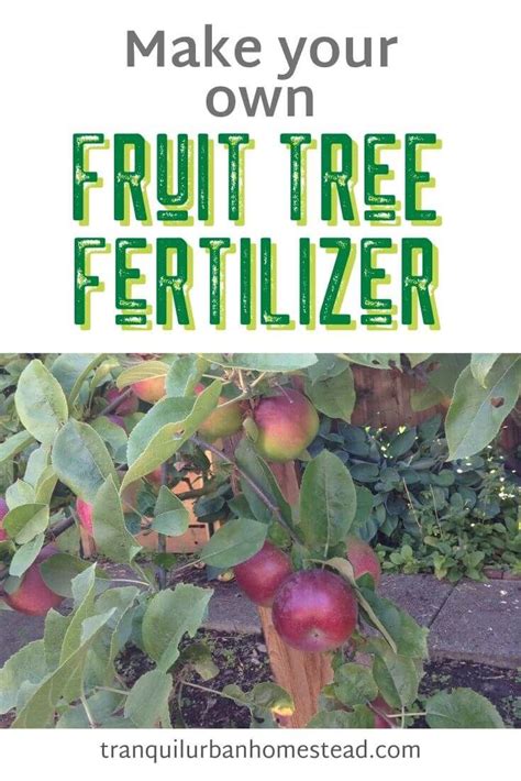 Organic Fertilizer for Fruit Trees: The Ultimate Guide to Bountiful Harvests