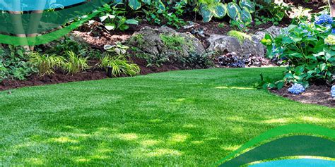 Organic Fertilizer for Lawns: A Comprehensive Guide to 5 Ways to Improve Your Lawn Health