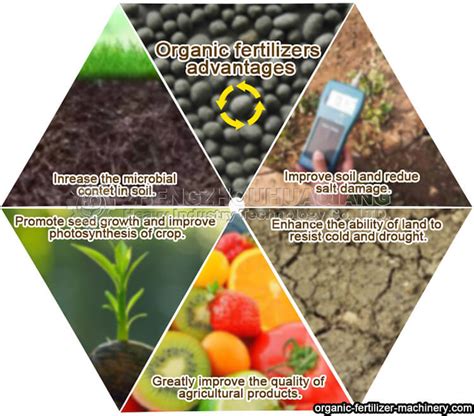 Organic Fertilizer with Potassium: The 7 Miracle Benefits