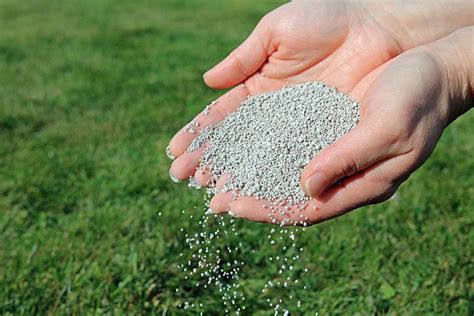 Organic Fertilizers: The Key to a Luscious Lawn and a Healthy Environment