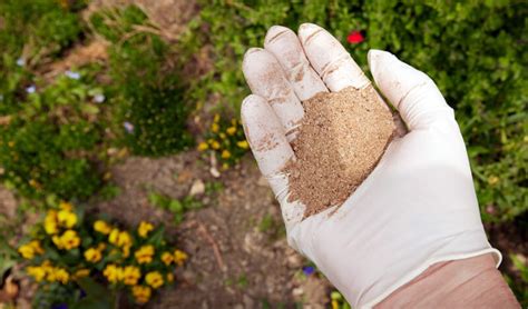 Organic Fish Fertilizer: Nature's Miracle for Thriving Gardens