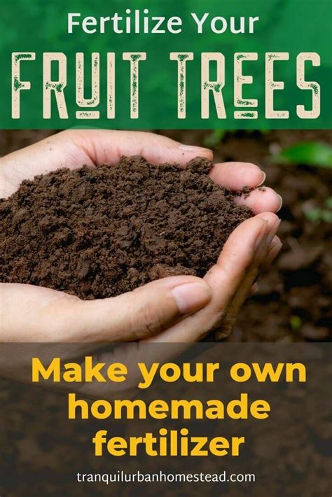 Organic Fruit Tree Fertilizer: 7 Unbeatable DIY Recipes