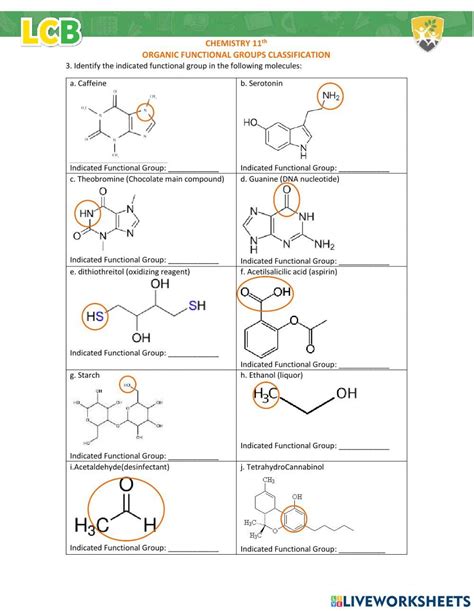 Organic Functional Groups Answers Epub