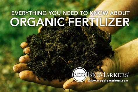 Organic Gardening Fertilizer: Everything You Need to Know