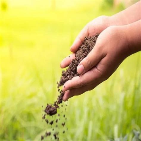 Organic Granular Fertilizer: The Soil Superhero