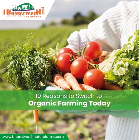 Organic Granulator: 40,000+ Reasons to Switch Today