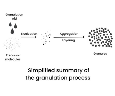 Organic Granulers Machine: A Comprehensive Guide to Efficient Granulation