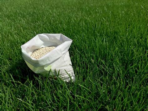 Organic Grass Fertilizer 101: Nourish Your Lawn the Natural Way