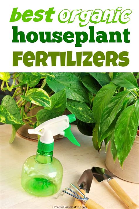 Organic Houseplant Fertilizer: 5 Simple and Effective Options