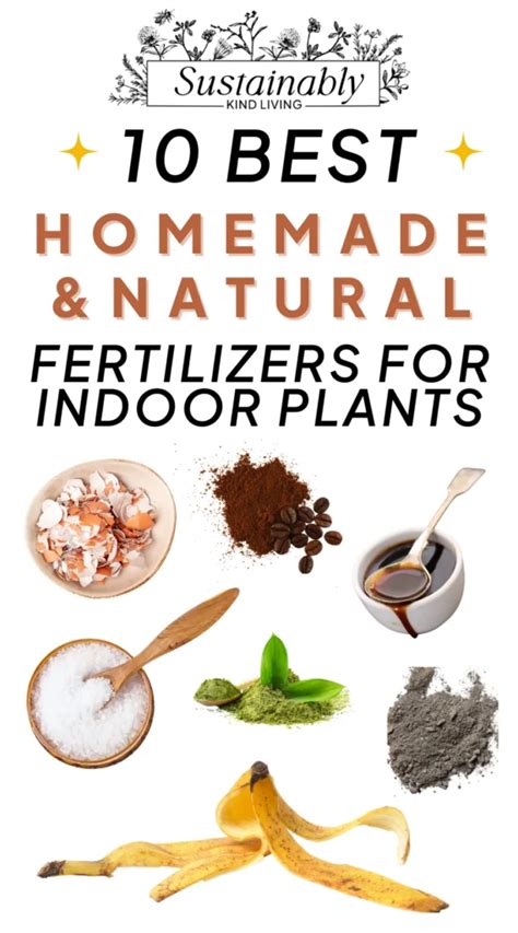 Organic Indoor Fertilizers: The Natural Way to Nurture Your Houseplants