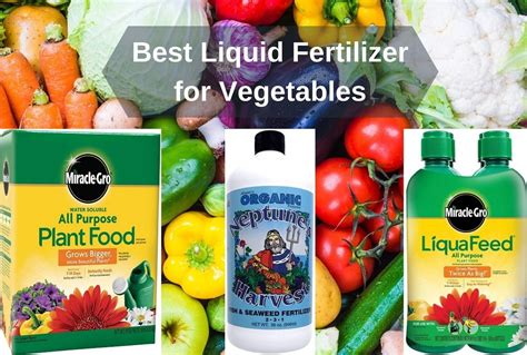 Organic Liquid Fertilizer for Vegetables: A Guide to Enhance Soil Health and Boost Crop Yields