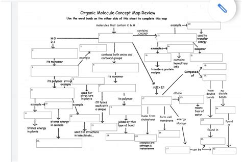 Organic Molecule Concept Map Review Answers Reader