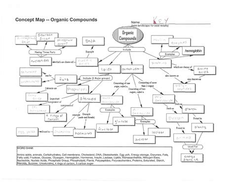 Organic Molecules Concept Mapping Packet Answer Key Epub