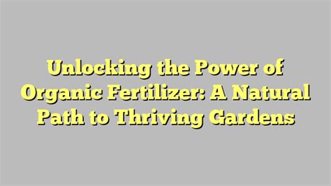 Organic N Fertilizer 101: Unlocking the Power of Nature for Sustainable Plant Growth