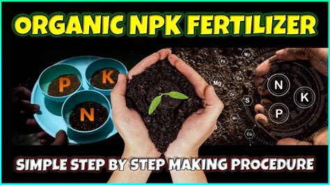 Organic NPK Fertilizer: 21st Century Farming Revolution