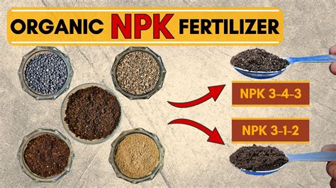 Organic NPK Fertilizer: The 3-in-1 Solution for Your Soil