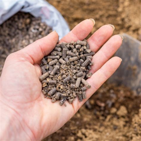 Organic Pelleted Poultry Manure: 25 Ways to Unlock Its Unlimited Potential