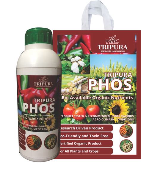 Organic Phosphorus Fertilizer: The Vital Nutrient for Plant Growth