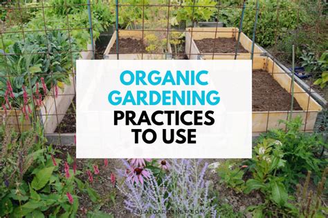 Organic Practices: