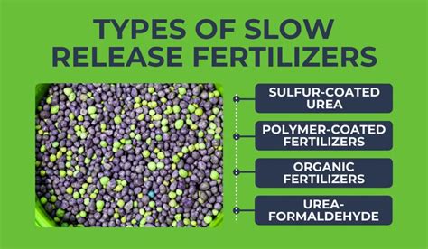 Organic Slow-Release Fertilizer: What It Is and Why You Need It