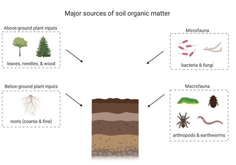 Organic Substances in Soil and Water Natural Constituents and Their Influences on Contaminant Behav Reader