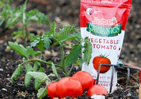 Organic Tomato Fertilizer: An Overview